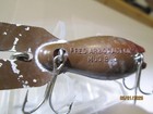 ARBOGASTS  (MUD BUG) — photo 10