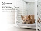 Diggs Evolv Double Door Convertible Dog Crate, Ash, 24 inch MCC001A24A 24" Small
