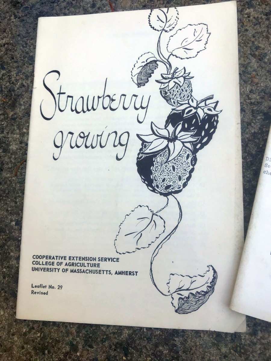 Vtg 3 Booklets Strawberry varieties and Growing US Department of