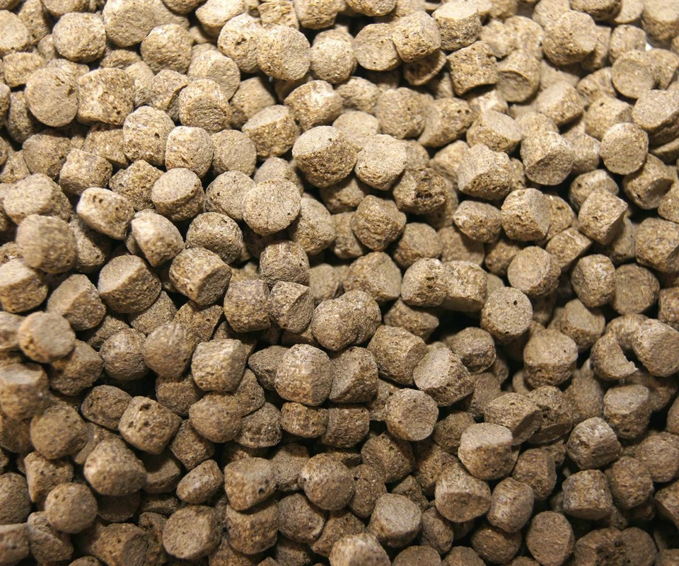 Mangime carpe Koi high quality Immune Plus 4kg 5 mm - gallegiante - Immagine 2 di 2