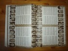Bild 8 von 13