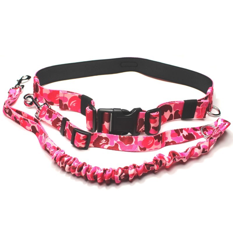 Laisse amortisseur anti-traction et ceinture double attache en nylon noir
