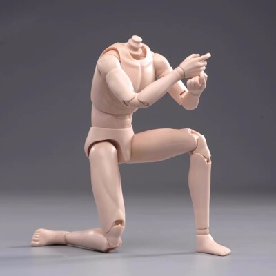 1/6 Scale Male Body Pale Skin Narrow Shoulder 12