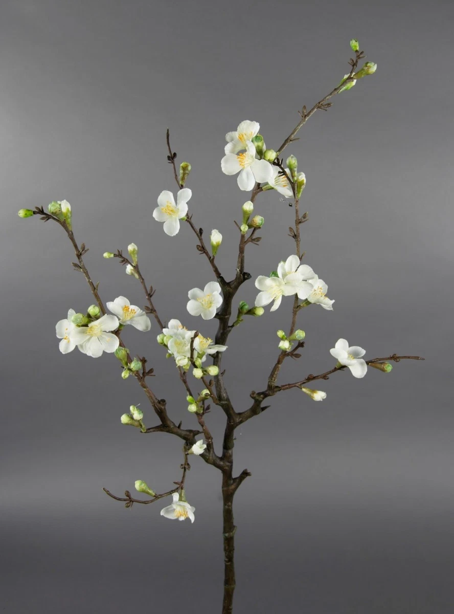 Weie Kirschblte Dekoblumen & knstliche Pflanzen online kaufen | eBay.de