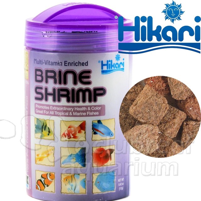 Hikari BioPure Freeze Brine Shrimp Cube Fish Food .42oz