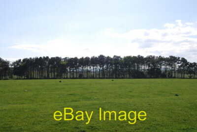 Photo 6x4 Woodland on the edge of Brunton Airfield  c2011