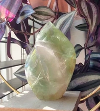 Apple Green and Yellow Fluorite Hand-Carved Flame/Freeform (294g)