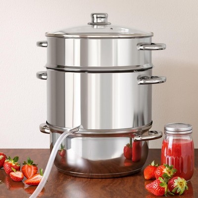 Juice Steamer Extractor, 11 Qt 304 Stainless Steel, Canning Steamer Kit for F...