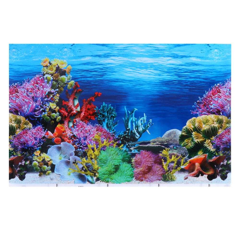 Fish tank best sale paper