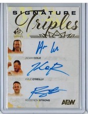 2025 SP Signature Edition AEW Wrestling Checklist Guide in-content 38