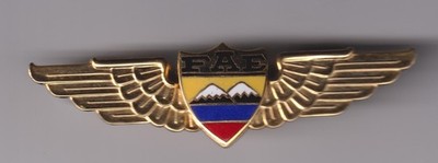 Ecuadorian Air Force pilots wings brevet very well made Newtel Miami 1990s