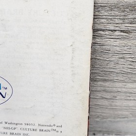 Flying Dragon The Secret Scroll Instruction Manual Only NES Original