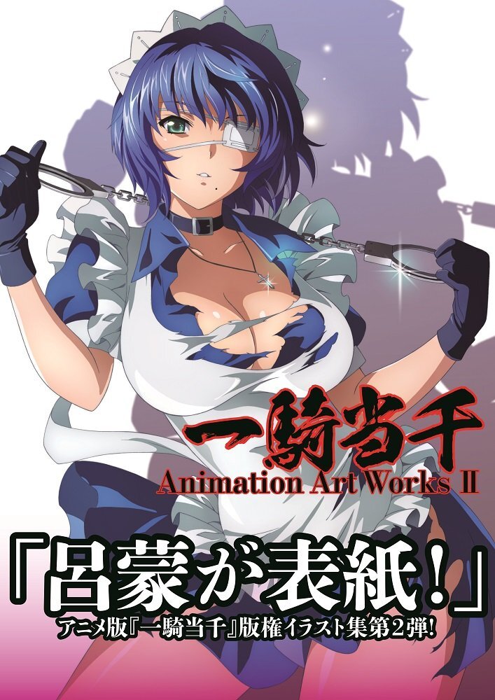 一騎当千 Animation Art Works II IKKI TOUSEN art book Animation Art Works II 2 | eBay