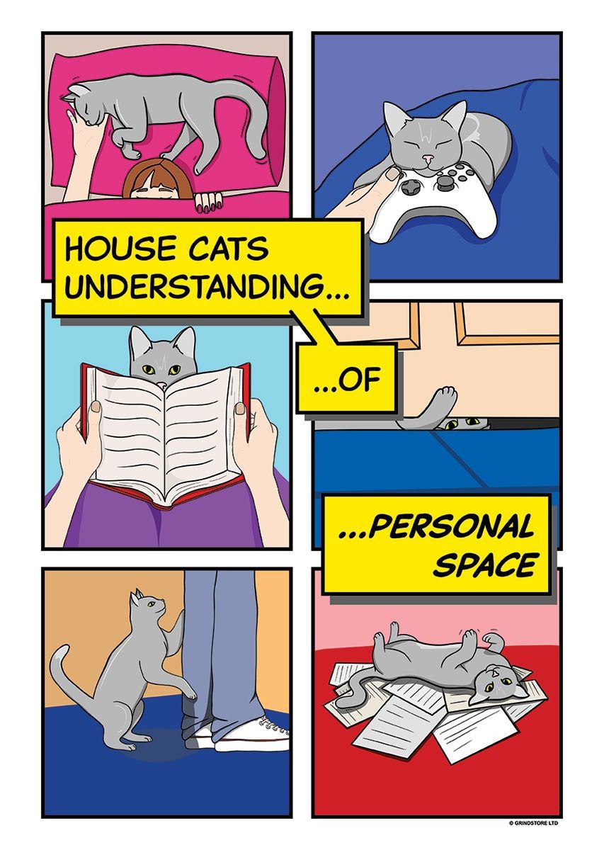 Laminated Personal Space Cat Comic Mini Poster