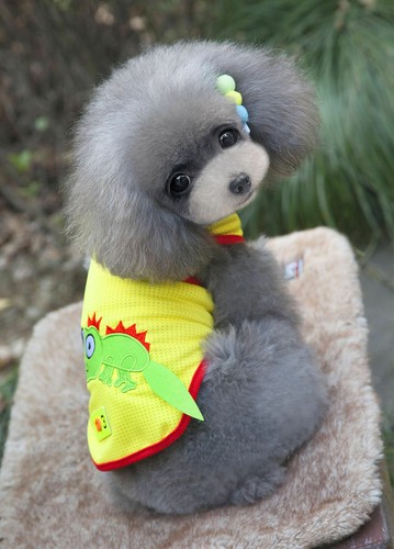 Verano Primavera Varios Mascotas Cachorro Pequeño Perro Gato Mascota Ropa Chaleco Camiseta - Imagen 182 de 191