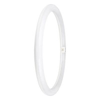 Ledvance Led RingröHre T9 Em Kvg 24W 840 G10Q G10Q 2900Lm 4000K Neutralweiss Wie
