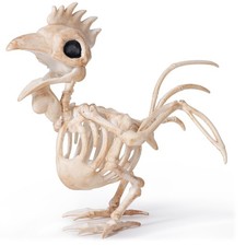 Posable Rooster Skeleton Halloween Decoration - 6.89" Plastic Bones For Yard, Ga