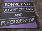 Bonnie Tyler 1986 Secret Dreams and Forbidden Fire 12x12 Promo Cover Flat Poster — photo 4