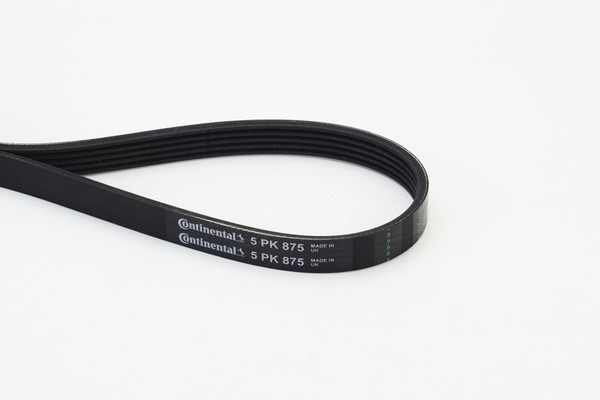 Continental Ctam Keilrippenriemen 5PK875-image