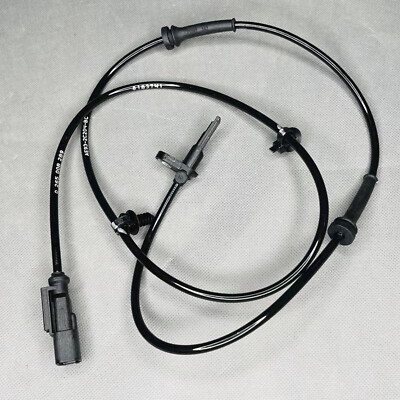 アセビ150cm a11 s-l400.jpg