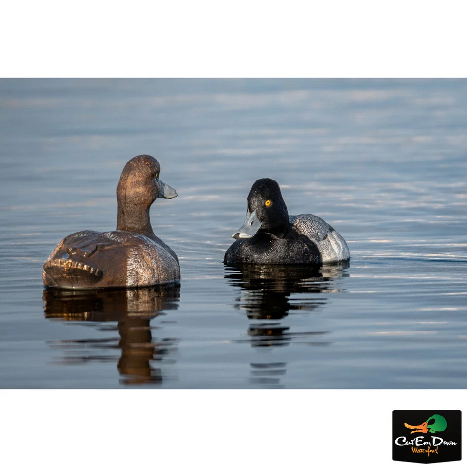 DOA DECOYS REFUGE SERIES BLUEBILL 6PK - Image 3 of 3