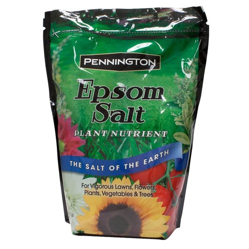 plant fertilizer fish Alaska Fish Fertilizer 5-1-1 Gallon main image 1