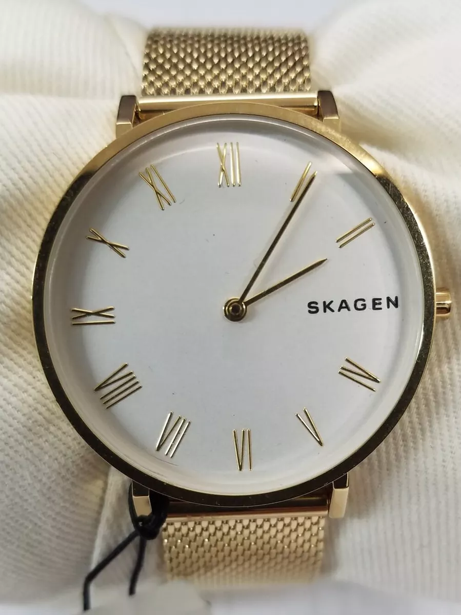 Skagen Analog Silver Dial Women s Stainless Steel Mesh Band Watch