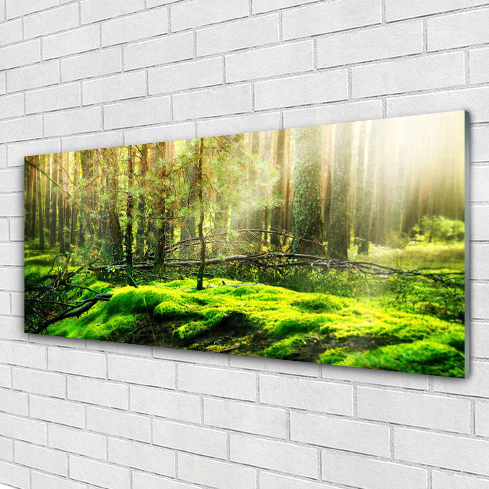 Forêt sous verre de bryophytes Tulup 125x50 cm pour décoration murale nature