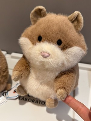 Jellycat Fluffy Gordy Guinea Pig Soft Plush Doll Gift Kids Toy 8in