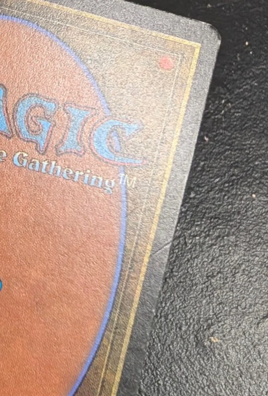 MTG: Magic Revised Edition - Taiga *Moderate Play* #1 - Image 3 of 4