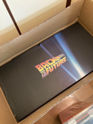 Hot Toys Delorean Back to the Future 1:6 BTTF Time Machine MMS260