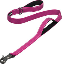 4FT Heavy Duty Dog Leash with Soft Padded Double Handle, Durable Strong Clasp Do