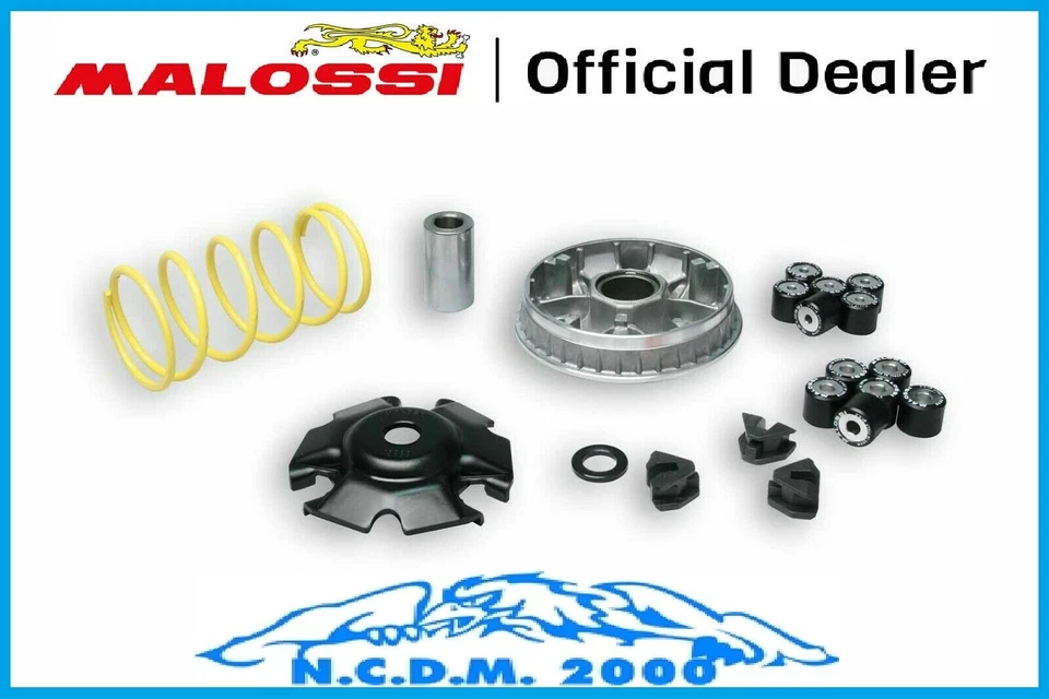 Variator Malossi Multivar 2000 PGO Tigra 150 4T LC (GY6) — 第 2/4 张图片