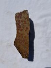 OBICULAR INDIAN RIVER JASPER "King Cobra" END CUT ~352gr/12.4oz/ rough agate cab — photo 4