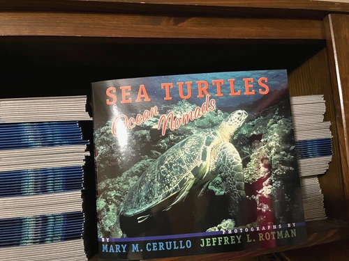 Set of 25 NEW SEA TURTLES Books Ocean Science Grade Level 3 4 Teacher Class Lot