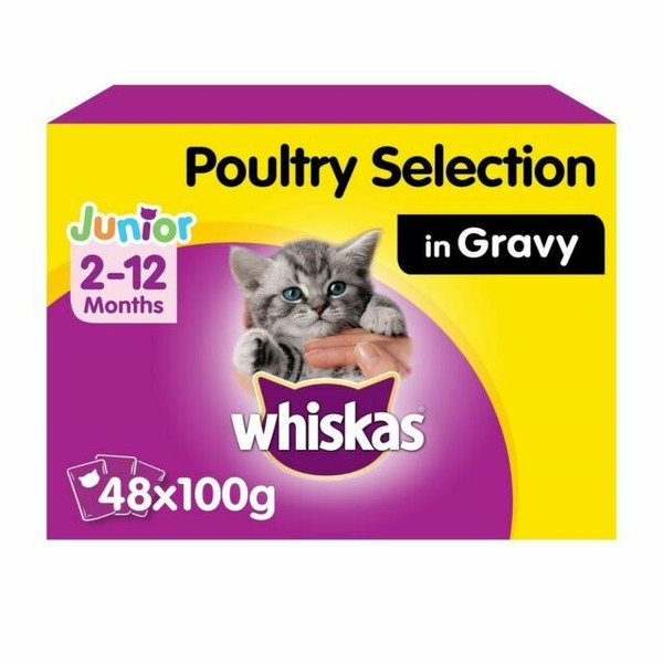 Whiskas Junior Wet Cat Food 48x100g for sale online eBay