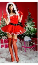 Sexy Miss Mistletoe Women's Christmas Costume, US Company,   VERY COMPLETE!!!!