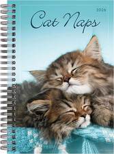 Cat Naps 2026 Weekly Monthly Planner, 16-Month Engagement Calendar: September