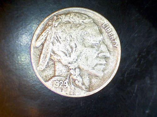 1929 S  Buffalo Nickel Fine SN10134