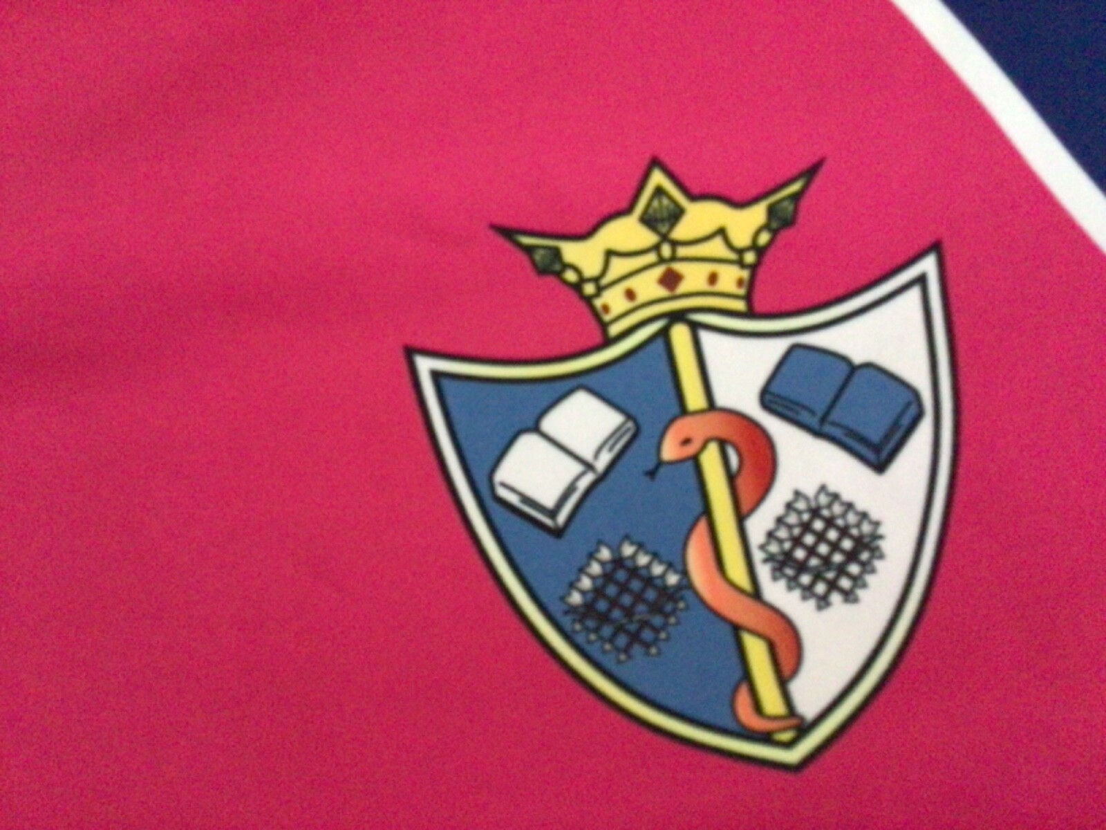 Multicolored Rugby Top Shirt Size L Zoo Sport eBay