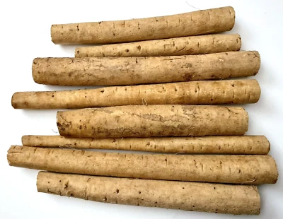 Fresh Burdock Root Japanese Gobo 22 oz Medicinal Herb Blood Liver Detox Immune
