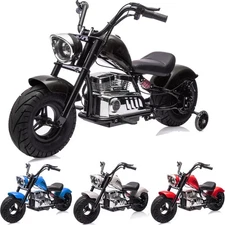 Kids Electric Dirt Bike 350W Brushless 36V Battery LED Headlights Music 10+