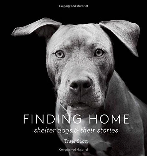 Finding Home: Shelter Dogs and Their Stories - Scott, Traer - Picture 1 of 1