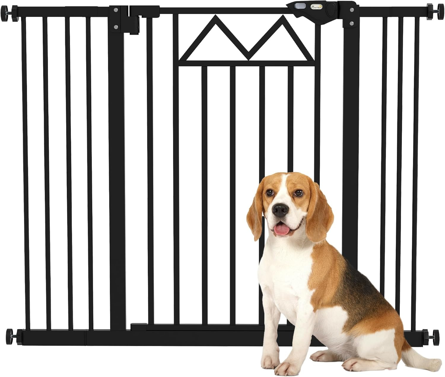 Cancellino per Cani 4 Viti Regolabili e Nastro: Sicurezza Senza Fori