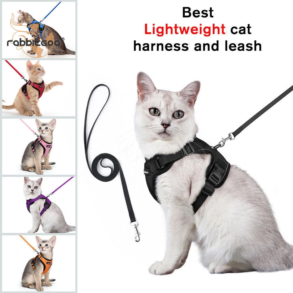 rabbitgoo Cat Harness & Lead Set Escape Proof Kitten Reflective Adjustable Vest