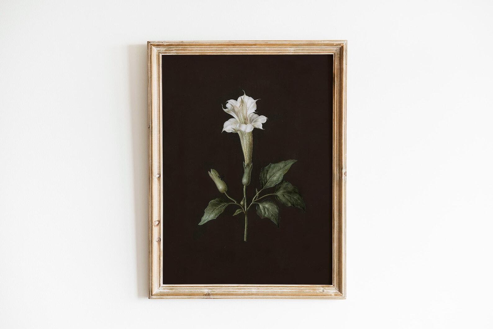 Vintage Victorian Botanical Wall Art Cottage Core Decor Floral Oil Painting