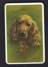 Vintage Swap  Card - Beautiful Cocker Spaniel (2) (BLANK BACK)