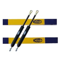 2X Gasfeder Heckscheibe FüR Alpina B10 D10 E39 Bmw 5Er E39