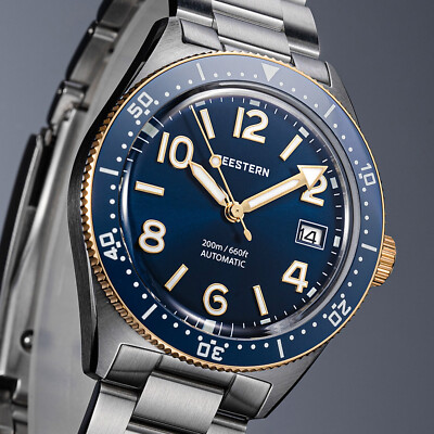 Seestern Domed Sapphire Mechanical Mens NH35 Diver Watch SEAGULL