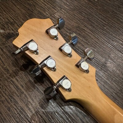 Target Fernandes MGT-85CX Mockingbird Green Hide XJAPAN B.C.Rich